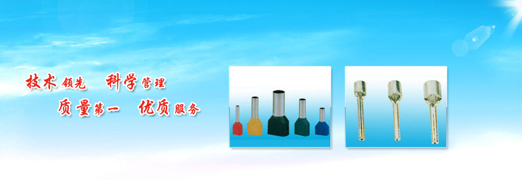 上海光华电缆附件有限公司